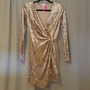 🔴FINAL Price! Champagne velvet dress
